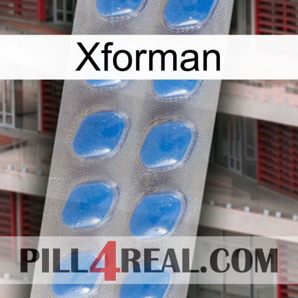 Xforman 22